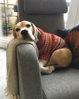 Aurinkoranta B4 merinäköalalla - 6