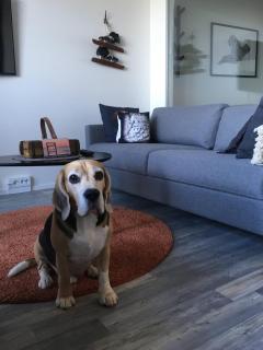 Aurinkoranta B4 merinäköalalla - 8