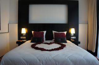Van der Valk Hotel Den Haag - Nootdorp - 9