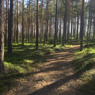 STF Jädraås Herrgård - 7