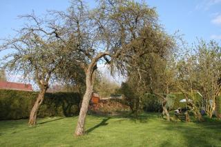 Holiday Home Lumassote - Trois-Ponts - 4