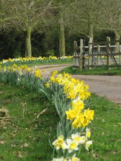 Colston Hall Farmhouse B&B - 4