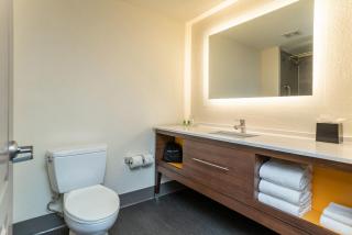Holiday Inn Hotel & Suites Beaufort at Highway 21 by IHG - Beaufort - 8