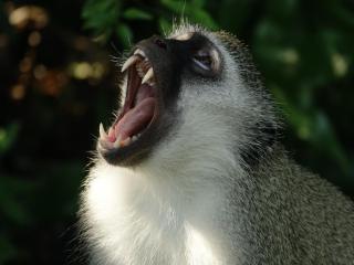 The Bridge Unit 59 - 5