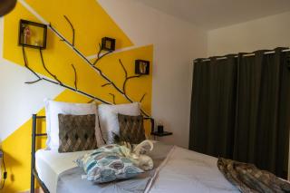 L'île au paon - Appartement T2 avec piscine et parking - 1