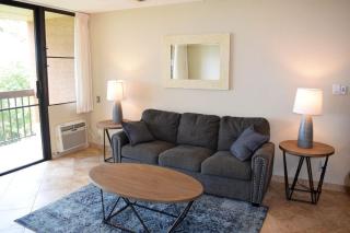 Beautiful Private Condo Walking Distance to Beach MV2321 - Kihei - 8