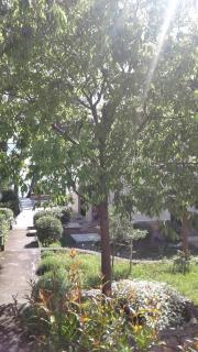 Villa Joška cottage apartment Brela - 1