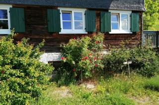 Allgäu Apartment Rose im OG - Grünenbach - 9