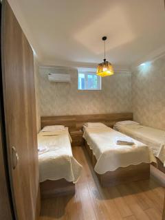 Hotel Traveler - Sighnaghi - 9