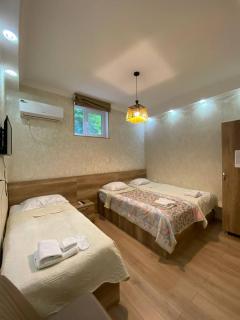 Hotel Traveler - Sighnaghi - 8