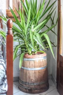 The balcony of Meteora 1 The center of kalabaka - 1