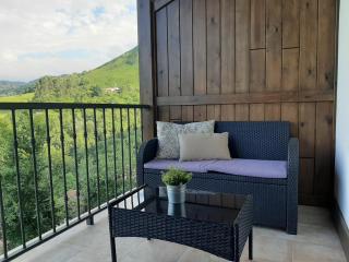 Apartamentos El Llanin - Cangas de Onís - 7
