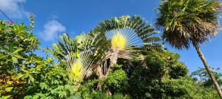 Residence Can' Hibiscus - 6