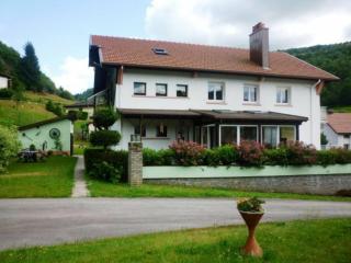 Gîte chaleureux à La Bresse avec terrasse, barbecue et proche des pistes de ski - FR-1-589-189 - La Bresse - 0