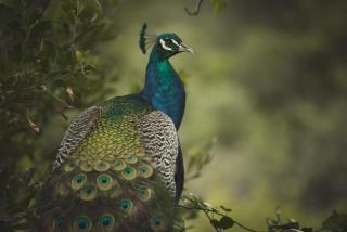 Misty Mountain Reserve - Stormsrivier - 5