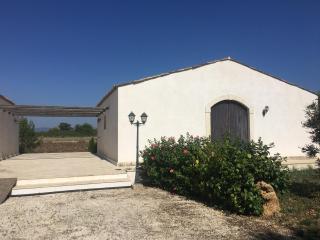 Orecchie di Lepre - 4