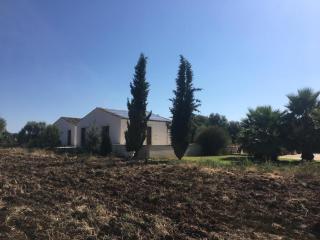 Orecchie di Lepre - 3