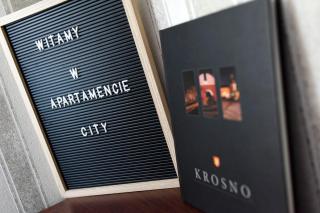 Apartament City, Clock - Krosno - 9