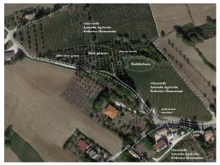 La Bolla del Borgo. Le Marche tra le stelle. - Corinaldo - 6