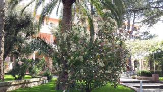 Park Hotel San Michele - Martina Franca - 1