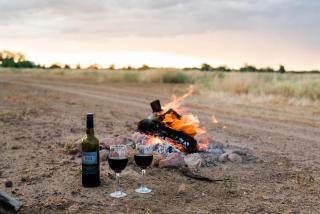 Mitchell Grass Retreat - Longreach - 4