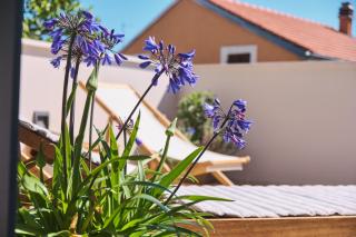 Casa Santa Maria Vacation House - Mali Lošinj - 4