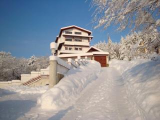 Family Hotel Diana - Lyaskovo - 1