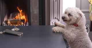 Brook Lodge Boutique Hotel - Killarney - 3