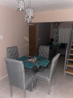 Penthouse with private rooftop near the airport. - 5