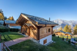 Chalet Asphodel - Nendaz - 6