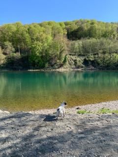 Drinska Amazonija, brvanara na obali Drine - 1