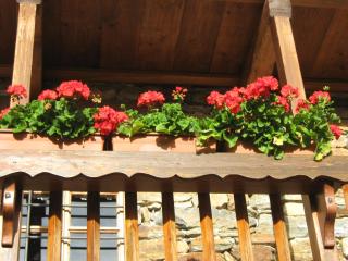 L'Etoile Du Berger - 6