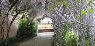 VILLA LAGO FOREGORUND Lakeview Winter Retreat Three-Bedroom Apartment with Balcony - 8