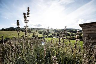 La Casa Vacanza con vista panoramica sui vigneti - Rotella - 6