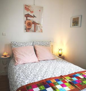 NICE APPARTEMENT - Amboise - 9
