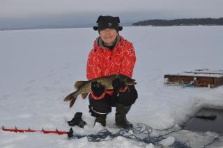 Kainiemen Huvilat - 3