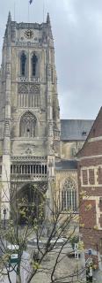 Domus Basil - Tongeren - 3