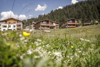 PRIVÀ Alpine Lodge - Lenzerheide - 0