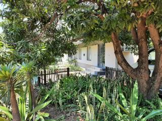 Elephant Walk Guesthouse and Back Packers - Phalaborwa - 4