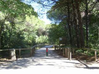 Apartments in Eraclea Mare 25611 - Eraclea Mare - 2