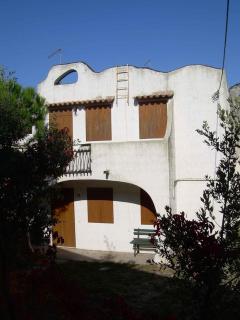 Apartment in Rosolina Mare 24991 - Rosolina Mare - 9