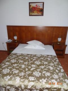 Hotel Emma West - Craiova - 8