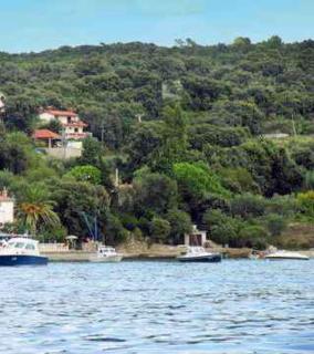 Apartment Supetarska Draga 5 - Supetarska Draga - 0
