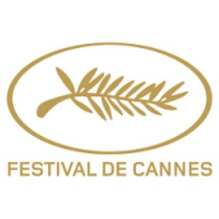 Ferretti 36 ' Bateau à Quai Vieux-Port Cannes Festival La Croisette - Cannes - 4