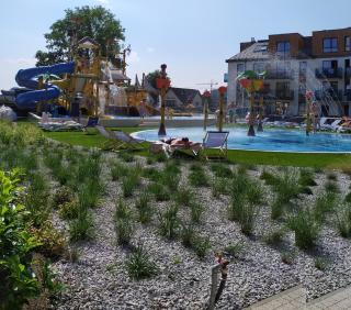 Bel Mare Patio and Garden C110 - 4