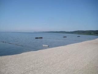 Apartment Kamminke 2 - 8