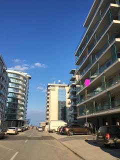 Lotus Blue - Mamaia - 1