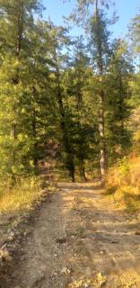 Shanti Jungle cottage - 4