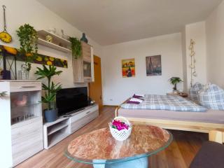 Ferien-und Gästewohnung Radebeul - 9