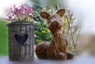 Haus Margarete & Landhaus Karin - 3